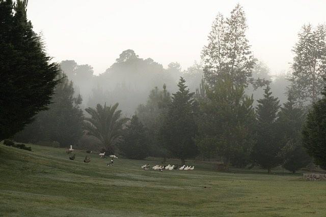 San Bernardo Hotel & Spa Tapalpa Zewnętrze zdjęcie